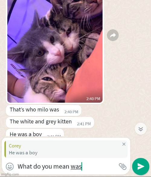 Was? | made w/ Imgflip meme maker