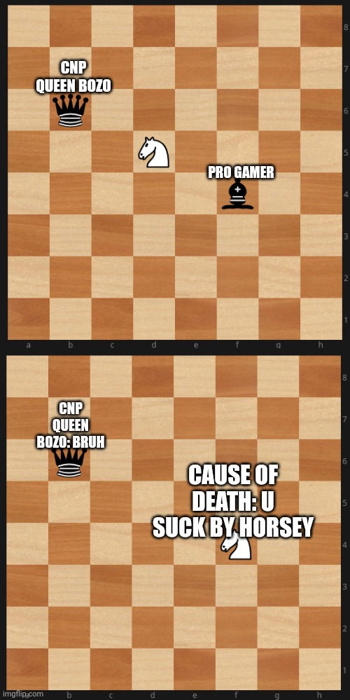 bruh | CNP QUEEN BOZO; PRO GAMER; CNP QUEEN BOZO: BRUH; CAUSE OF DEATH: U SUCK BY HORSEY | image tagged in chess meme | made w/ Imgflip meme maker