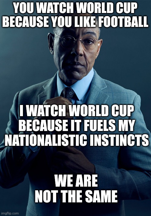 Gus Fring we are not the same | YOU WATCH WORLD CUP BECAUSE YOU LIKE FOOTBALL; I WATCH WORLD CUP BECAUSE IT FUELS MY NATIONALISTIC INSTINCTS; WE ARE NOT THE SAME | image tagged in gus fring we are not the same | made w/ Imgflip meme maker