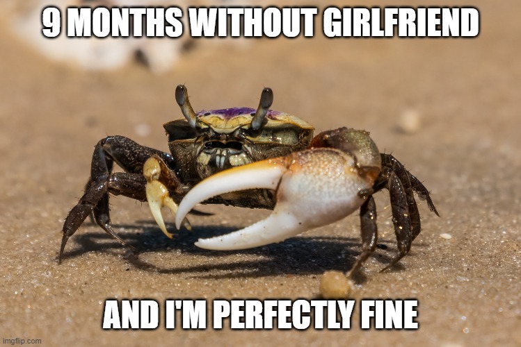 No Girlfriend |  9 MONTHS WITHOUT GIRLFRIEND; AND I'M PERFECTLY FINE | image tagged in crab,wank,love,sec,arm,muscle | made w/ Imgflip meme maker