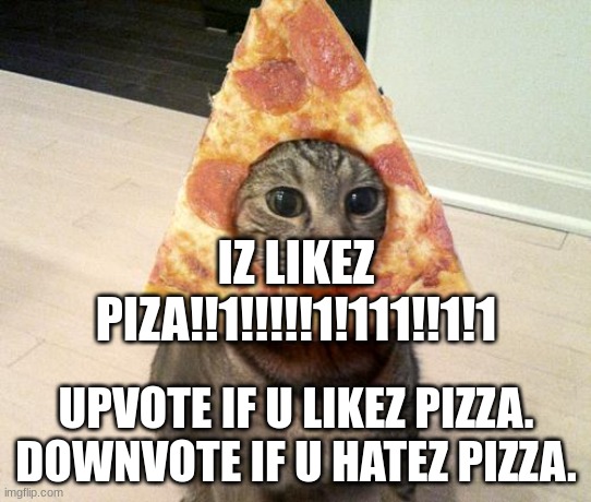 pizza | IZ LIKEZ PIZA!!1!!!!!1!111!!1!1; UPVOTE IF U LIKEZ PIZZA.
DOWNVOTE IF U HATEZ PIZZA. | image tagged in pizza cat,memes | made w/ Imgflip meme maker