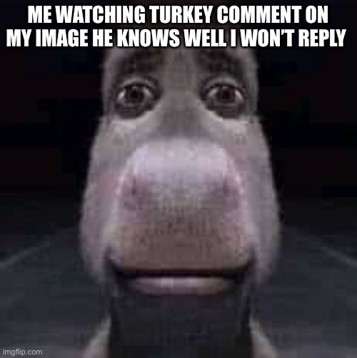 Donkey staring | ME WATCHING TURKEY COMMENT ON MY IMAGE HE KNOWS WELL I WON’T REPLY | image tagged in donkey staring | made w/ Imgflip meme maker