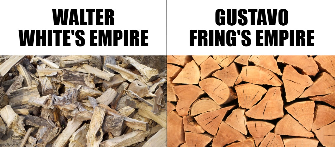 Walt's and Gus' empire comparison |  WALTER WHITE'S EMPIRE; GUSTAVO FRING'S EMPIRE | image tagged in firewood,breaking bad,better call saul | made w/ Imgflip meme maker