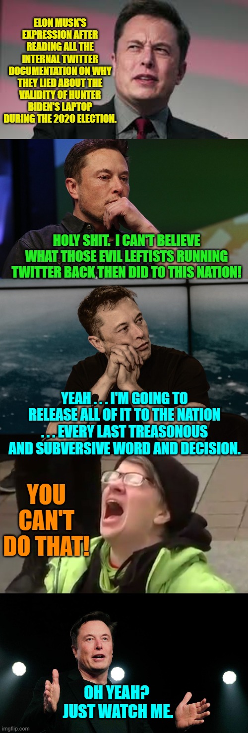 Bad news 'disinformation' leftists, Musk has already announced his decision to release this material.  Enjoy! | ELON MUSK'S EXPRESSION AFTER READING ALL THE INTERNAL TWITTER DOCUMENTATION ON WHY THEY LIED ABOUT THE VALIDITY OF HUNTER BIDEN'S LAPTOP DURING THE 2020 ELECTION. HOLY SHIT.  I CAN'T BELIEVE WHAT THOSE EVIL LEFTISTS RUNNING TWITTER BACK THEN DID TO THIS NATION! YEAH . . . I'M GOING TO RELEASE ALL OF IT TO THE NATION . . . EVERY LAST TREASONOUS AND SUBVERSIVE WORD AND DECISION. YOU CAN'T DO THAT! OH YEAH?  JUST WATCH ME. | image tagged in truth | made w/ Imgflip meme maker