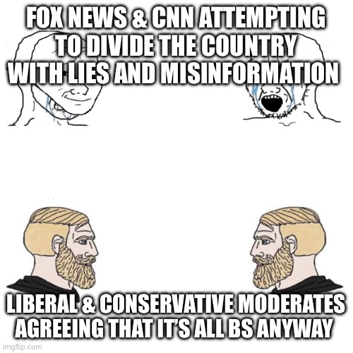 Nordic gamer | FOX NEWS & CNN ATTEMPTING TO DIVIDE THE COUNTRY WITH LIES AND MISINFORMATION LIBERAL & CONSERVATIVE MODERATES AGREEING THAT IT’S ALL BS ANYW | image tagged in nordic gamer | made w/ Imgflip meme maker