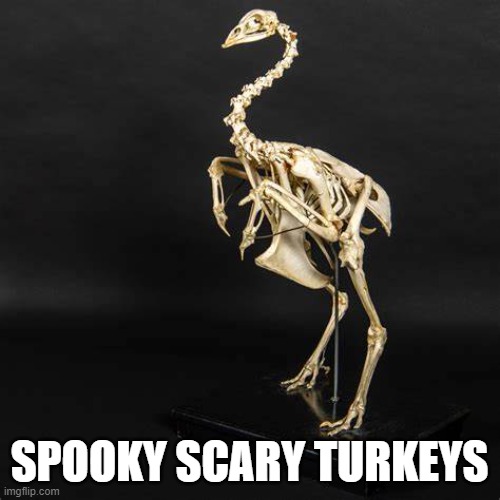 SPOOKY SCARY TURKEYS | made w/ Imgflip meme maker