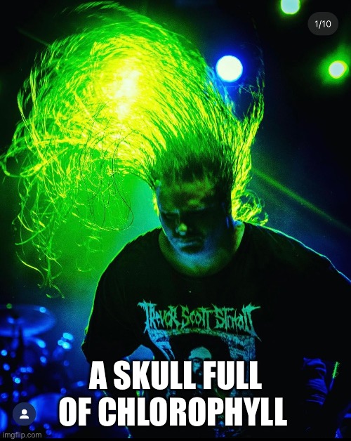 A SKULL FULL OF CHLOROPHYLL | made w/ Imgflip meme maker