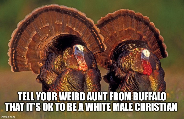 TELL YOUR WEIRD AUNT FROM BUFFALO THAT IT'S OK TO BE A WHITE MALE CHRISTIAN | image tagged in funny memes | made w/ Imgflip meme maker