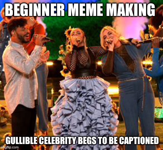 Stupid is as stupid does | BEGINNER MEME MAKING; GULLIBLE CELEBRITY BEGS TO BE CAPTIONED | image tagged in fashion police,stupid people,fashion,celebrity | made w/ Imgflip meme maker