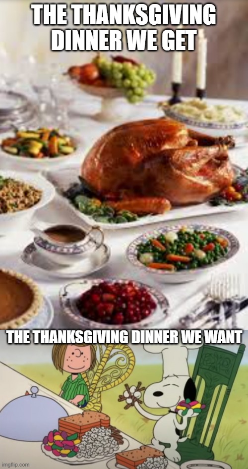 A Charlie Brown Thanksgiving | THE THANKSGIVING DINNER WE GET; THE THANKSGIVING DINNER WE WANT | image tagged in thanksgiving dinner,charlie brown,thanksgiving,happy thanksgiving | made w/ Imgflip meme maker