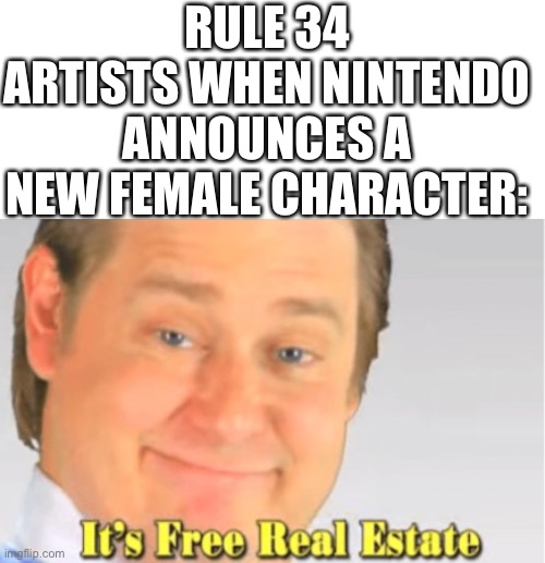 It's Free Real Estate | RULE 34 ARTISTS WHEN NINTENDO ANNOUNCES A NEW FEMALE CHARACTER: | image tagged in it's free real estate | made w/ Imgflip meme maker
