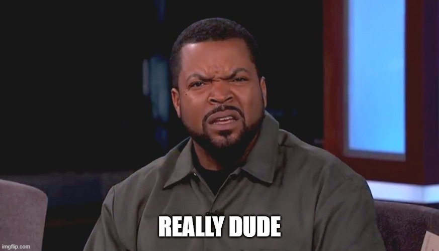 Really? Ice Cube | REALLY DUDE | image tagged in really ice cube | made w/ Imgflip meme maker