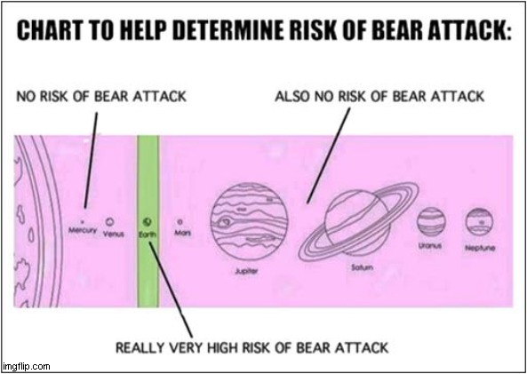 How To Avoid Bear Attacks ! | image tagged in fun,chart,bears,attack | made w/ Imgflip meme maker