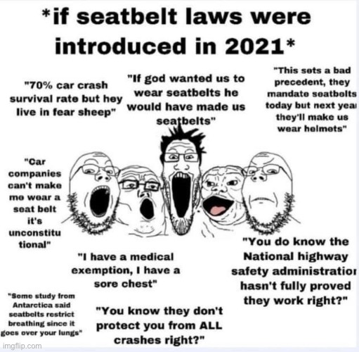 Seatbelt laws 2021 Blank Meme Template