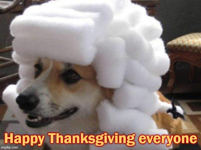 title | Happy Thanksgiving everyone | image tagged in rmk,doge,thanksgiving | made w/ Imgflip meme maker