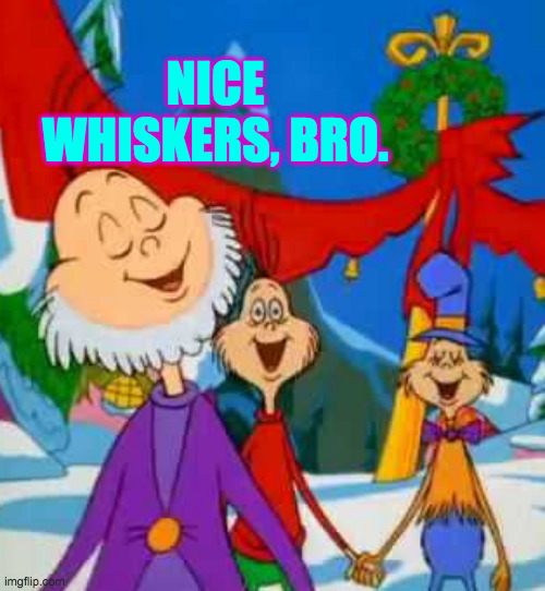 NICE WHISKERS, BRO. | made w/ Imgflip meme maker