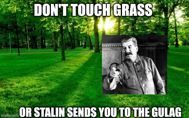 Don't touch grass or Gulag | DON'T TOUCH GRASS; OR STALIN SENDS YOU TO THE GULAG | image tagged in grass and trees,stalin,grass,gulag,russia,soviet union | made w/ Imgflip meme maker