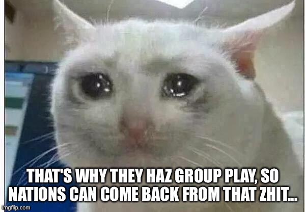 crying cat | THAT'S WHY THEY HAZ GROUP PLAY, SO NATIONS CAN COME BACK FROM THAT ZHIT... | image tagged in crying cat | made w/ Imgflip meme maker
