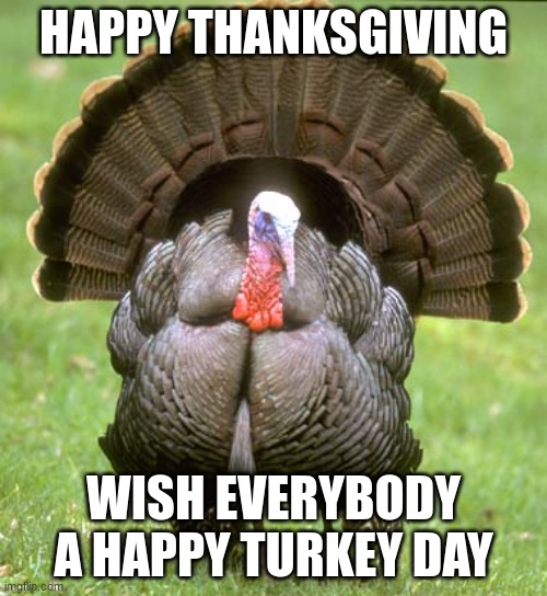 Turkey | HAPPY THANKSGIVING; WISH EVERYBODY A HAPPY TURKEY DAY | image tagged in memes,turkey | made w/ Imgflip meme maker