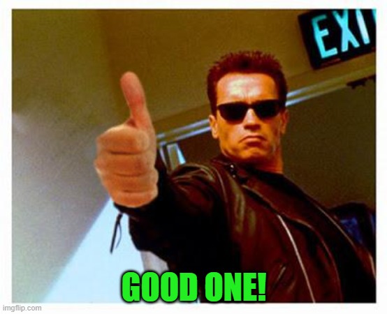 terminator thumbs up | GOOD ONE! | image tagged in terminator thumbs up | made w/ Imgflip meme maker