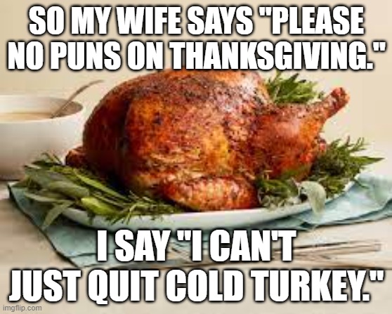 meme by brad thanksgiving cold turkey | SO MY WIFE SAYS "PLEASE NO PUNS ON THANKSGIVING."; I SAY "I CAN'T JUST QUIT COLD TURKEY." | image tagged in holidays | made w/ Imgflip meme maker