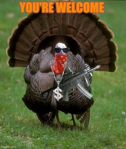 Gangsta Turkey | YOU'RE WELCOME | image tagged in gangsta turkey | made w/ Imgflip meme maker