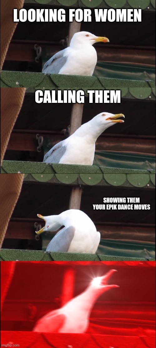 Caw caw | LOOKING FOR WOMEN; CALLING THEM; SHOWING THEM YOUR EPIK DANCE MOVES | image tagged in memes,inhaling seagull,birds | made w/ Imgflip meme maker