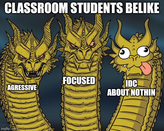 Dwagon | CLASSROOM STUDENTS BELIKE; FOCUSED; IDC ABOUT NOTHIN; AGRESSIVE | image tagged in three-headed dragon,school,dragon | made w/ Imgflip meme maker