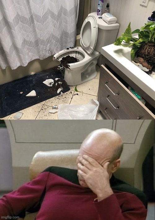 Toilet fail | image tagged in memes,captain picard facepalm,toilet,you had one job,plant,bathroom | made w/ Imgflip meme maker