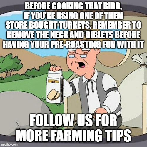 Pepperidge Farm Remembers | BEFORE COOKING THAT BIRD, IF YOU'RE USING ONE OF THEM STORE BOUGHT TURKEYS, REMEMBER TO REMOVE THE NECK AND GIBLETS BEFORE HAVING YOUR PRE-ROASTING FUN WITH IT; FOLLOW US FOR MORE FARMING TIPS | image tagged in memes,pepperidge farm remembers | made w/ Imgflip meme maker