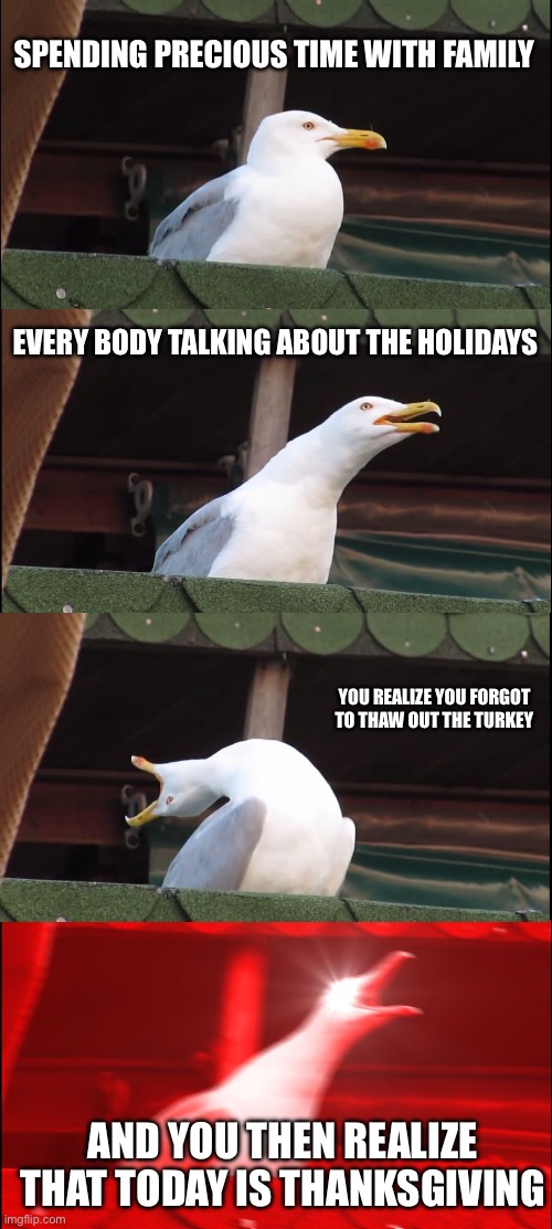 Inhaling Seagull | SPENDING PRECIOUS TIME WITH FAMILY; EVERY BODY TALKING ABOUT THE HOLIDAYS; YOU REALIZE YOU FORGOT TO THAW OUT THE TURKEY; AND YOU THEN REALIZE THAT TODAY IS THANKSGIVING | image tagged in memes,inhaling seagull | made w/ Imgflip meme maker