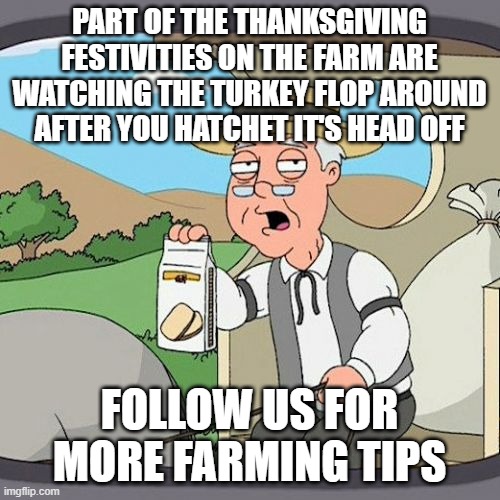 Pepperidge Farm Remembers Meme | PART OF THE THANKSGIVING FESTIVITIES ON THE FARM ARE WATCHING THE TURKEY FLOP AROUND AFTER YOU HATCHET IT'S HEAD OFF; FOLLOW US FOR MORE FARMING TIPS | image tagged in memes,pepperidge farm remembers | made w/ Imgflip meme maker