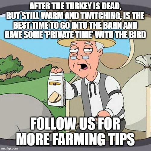 Pepperidge Farm Remembers | AFTER THE TURKEY IS DEAD, BUT STILL WARM AND TWITCHING, IS THE BEST TIME TO GO INTO THE BARN AND HAVE SOME 'PRIVATE TIME' WITH THE BIRD; FOLLOW US FOR MORE FARMING TIPS | image tagged in memes,pepperidge farm remembers | made w/ Imgflip meme maker