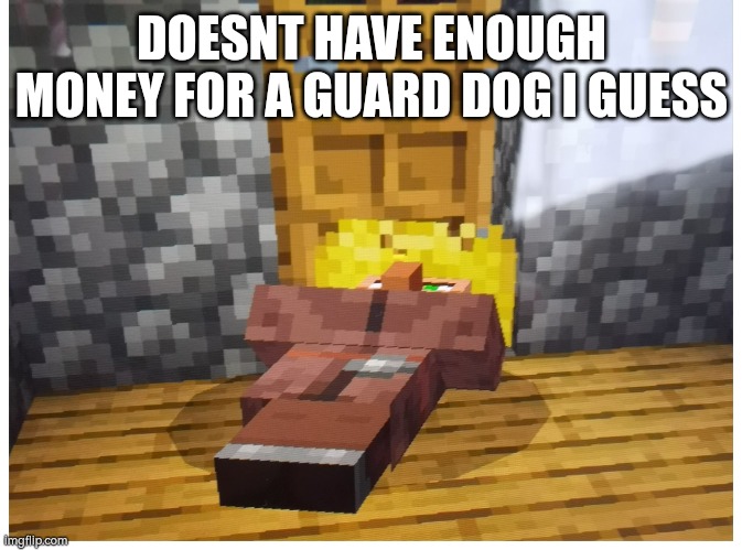 *guards home* | DOESNT HAVE ENOUGH MONEY FOR A GUARD DOG I GUESS | made w/ Imgflip meme maker