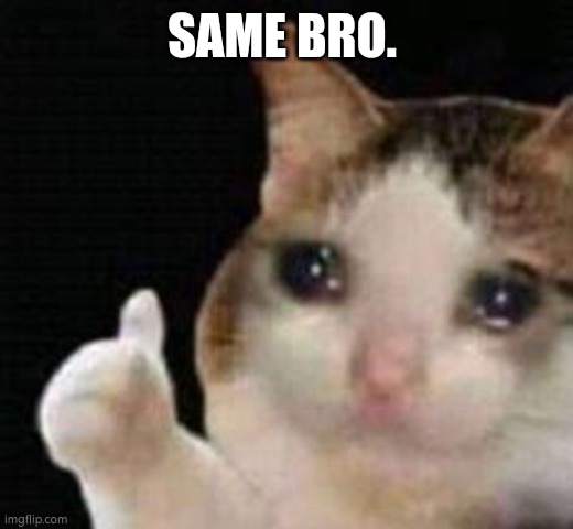 Approved crying cat | SAME BRO. | image tagged in approved crying cat | made w/ Imgflip meme maker