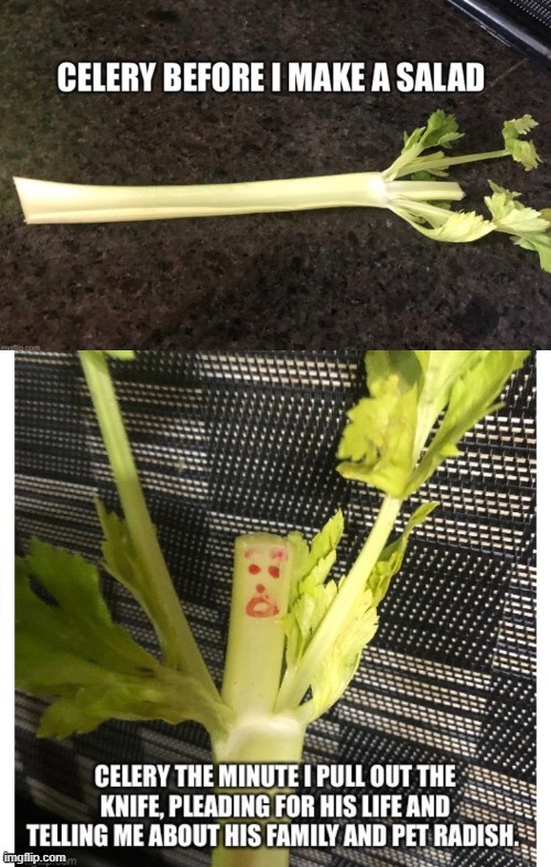 Don't Stalk the Celery | image tagged in celery,vegetables,vegetarians,stalking,don't eat me,funny memes | made w/ Imgflip meme maker