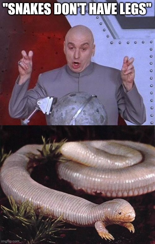 IMAGE TITLE SUCKER THATS ALL YOU GTMEF | "SNAKES DON'T HAVE LEGS" | image tagged in memes,dr evil laser | made w/ Imgflip meme maker