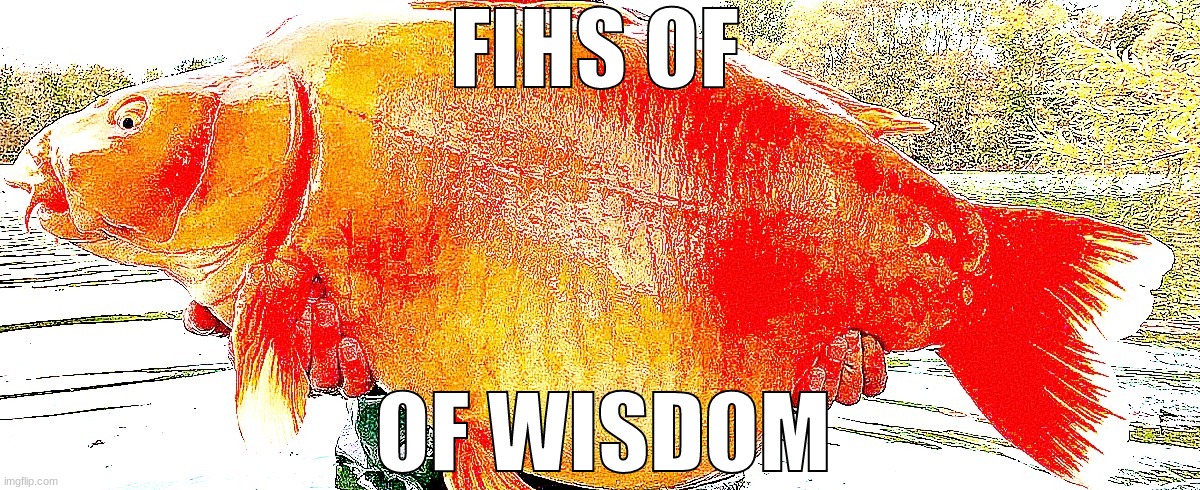 Meet the fihs of wisdom | FIHS OF; OF WISDOM | image tagged in fish of wisdom,fihs | made w/ Imgflip meme maker