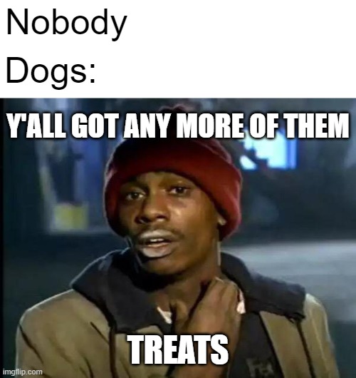 after one, they want more | Nobody; Dogs:; Y'ALL GOT ANY MORE OF THEM; TREATS | image tagged in memes,y'all got any more of that,animals,dogs | made w/ Imgflip meme maker