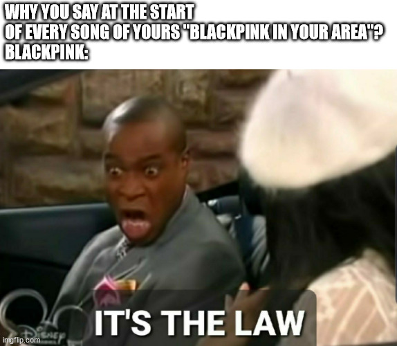 blackpink in your areaaaaa | WHY YOU SAY AT THE START OF EVERY SONG OF YOURS "BLACKPINK IN YOUR AREA"?
BLACKPINK: | image tagged in it's the law,blackpink,memes,why | made w/ Imgflip meme maker