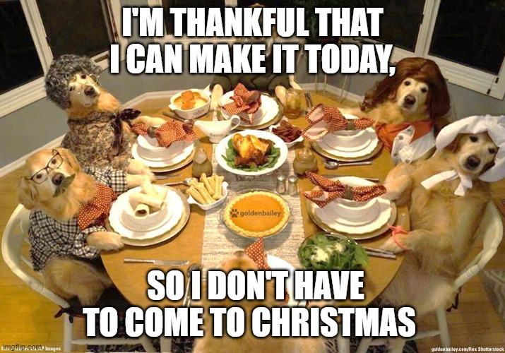dog thanksgiving | I'M THANKFUL THAT I CAN MAKE IT TODAY, SO I DON'T HAVE TO COME TO CHRISTMAS | image tagged in dog thanksgiving | made w/ Imgflip meme maker