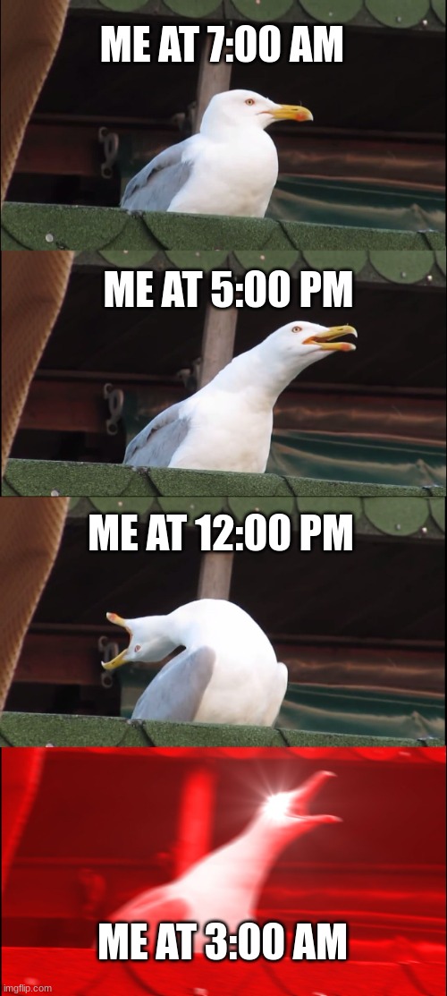 times | ME AT 7:00 AM; ME AT 5:00 PM; ME AT 12:00 PM; ME AT 3:00 AM | image tagged in memes,inhaling seagull | made w/ Imgflip meme maker