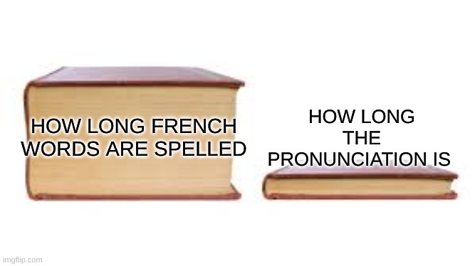 French is a weird language, German is better | HOW LONG THE PRONUNCIATION IS; HOW LONG FRENCH WORDS ARE SPELLED | image tagged in big book small book,french | made w/ Imgflip meme maker