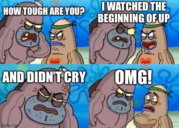 Up | I WATCHED THE BEGINNING OF UP; HOW TOUGH ARE YOU? AND DIDN’T CRY; OMG! | image tagged in memes,how tough are you | made w/ Imgflip meme maker