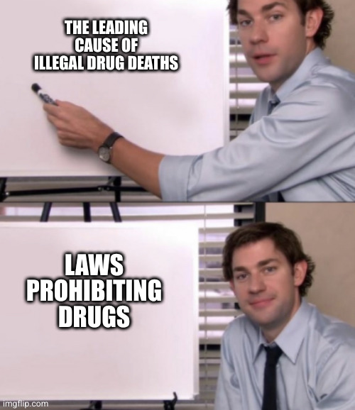 Jim Halpert White board template | THE LEADING CAUSE OF ILLEGAL DRUG DEATHS LAWS PROHIBITING DRUGS | image tagged in jim halpert white board template | made w/ Imgflip meme maker