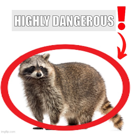 HIGHLY DANGEROUS | image tagged in blank white template | made w/ Imgflip meme maker
