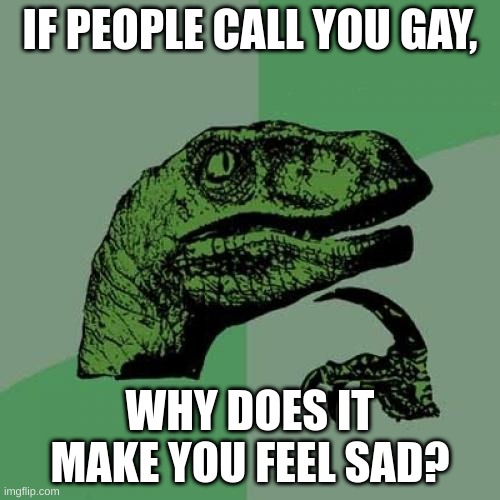(gay used to mean happy) | IF PEOPLE CALL YOU GAY, WHY DOES IT MAKE YOU FEEL SAD? | image tagged in memes,philosoraptor | made w/ Imgflip meme maker