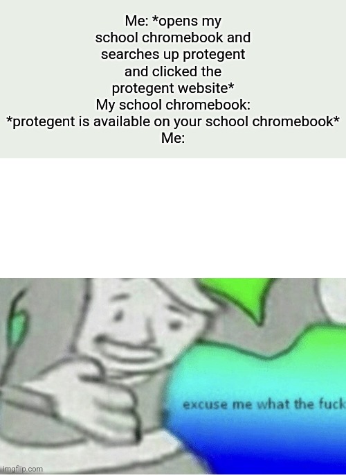 It's real, do it for yourself |  Me: *opens my school chromebook and searches up protegent and clicked the protegent website*
My school chromebook: *protegent is available on your school chromebook*
Me: | image tagged in excuse me wtf blank template,protegent yes | made w/ Imgflip meme maker