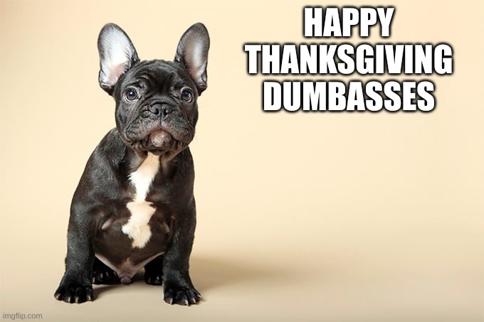 KSDawg | HAPPY THANKSGIVING DUMBASSES | image tagged in ksdawg | made w/ Imgflip meme maker