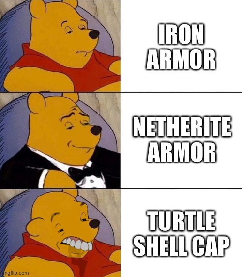 armor comparison | IRON ARMOR; NETHERITE ARMOR; TURTLE SHELL CAP | image tagged in best better blurst,gaming,minecraft,memes,funny,logic | made w/ Imgflip meme maker